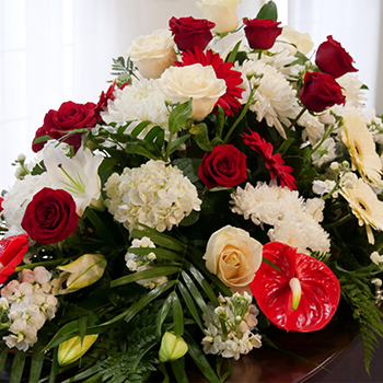 Seguro para Repatriação Funerária